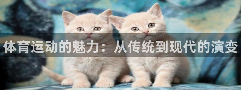 东莞市意昂电子科技有限公司