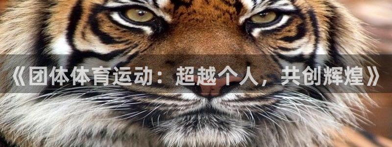意昂3体育注册平台