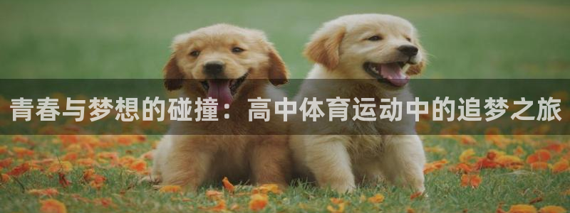 意昂3集团股票