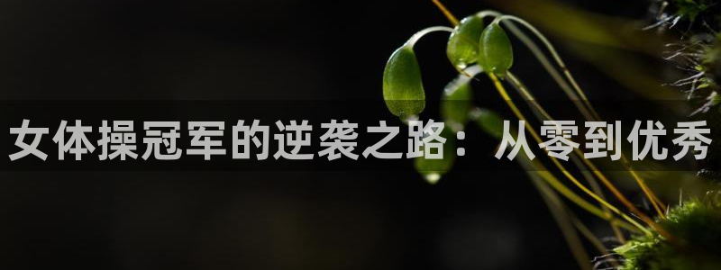 意昂3集团股票