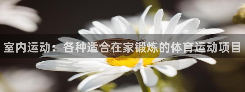 德国意昂集团