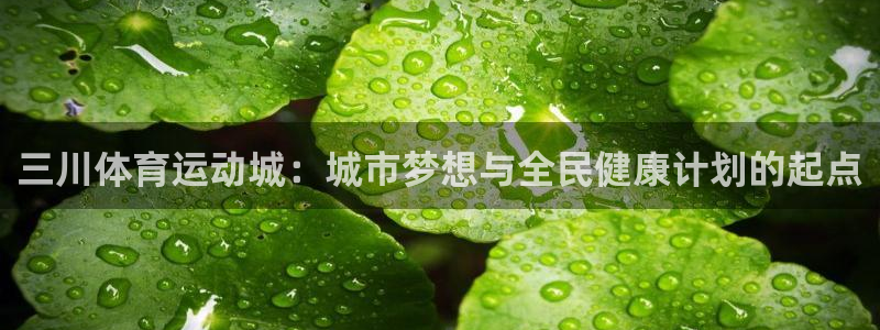 意昂3平台注册入口
