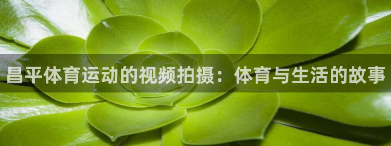 意昂4登录