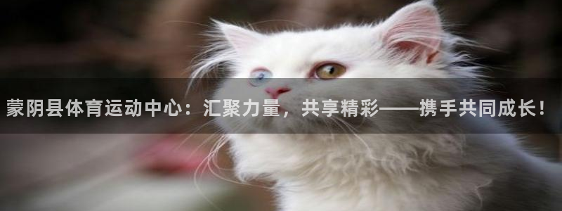 意昂34平台
