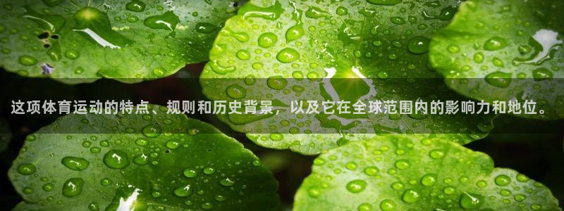 www.意昂3体育.com