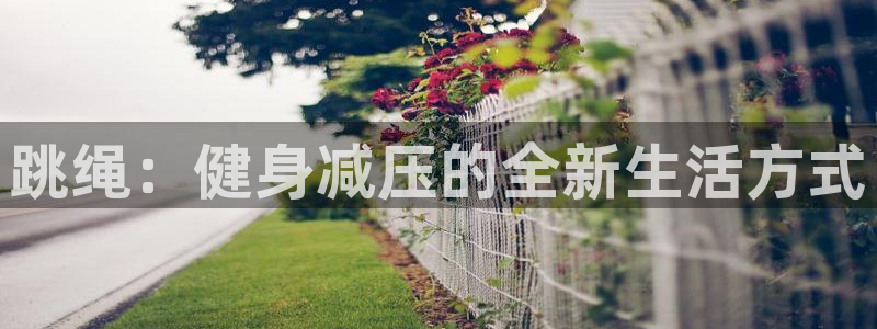 意昂3能源