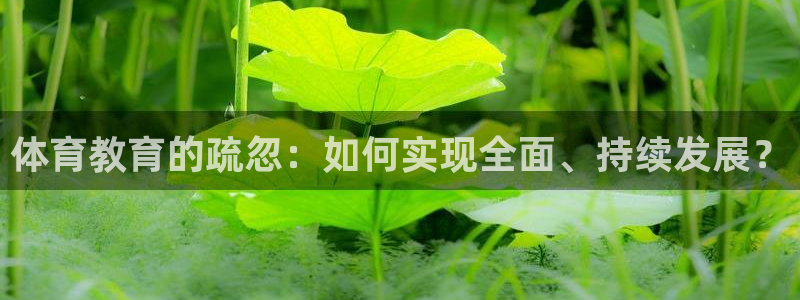 意昂3体育凯捷登陆