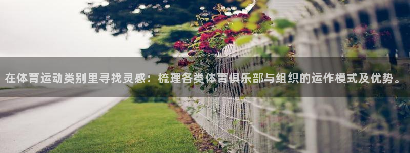意昂集团股票